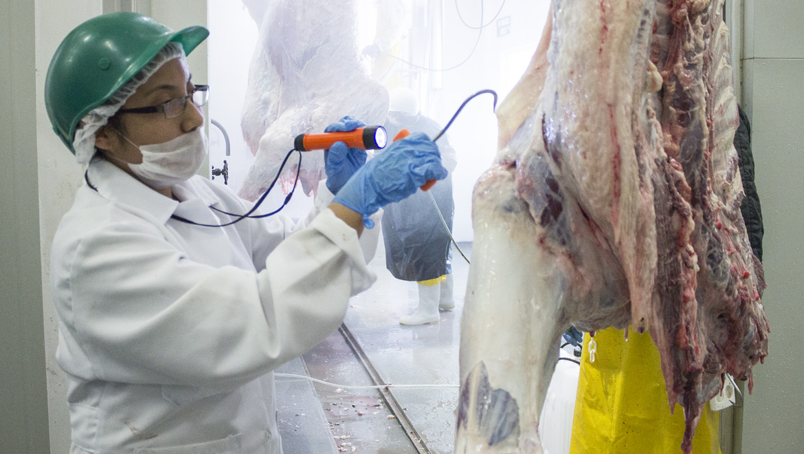 the Paxton Gipsy Hill